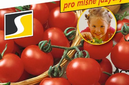 balení semínek rajčat