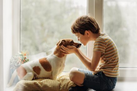 dopřejte svému psovi tolik času, kolik potřebuje, aby se v blízkosti dětí cítil dobře