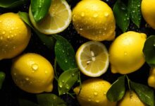 citrony jsou právem považovány za jednu z nejzdravějších potravin vůbec.