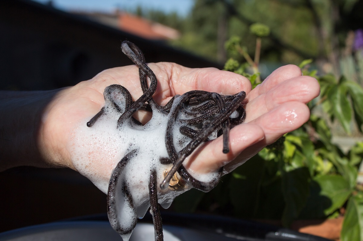 Látkové boty zase vyčistíte vlažnou vodou a mýdlem.