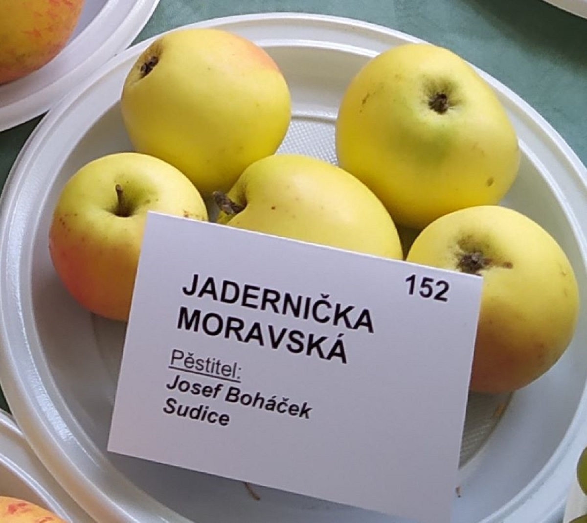 Odrůda Jadernička moravská.