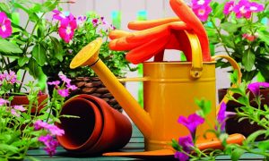 Navštivte veletrh FOR GARDEN a probuďte ve Vaší zahradě jaro